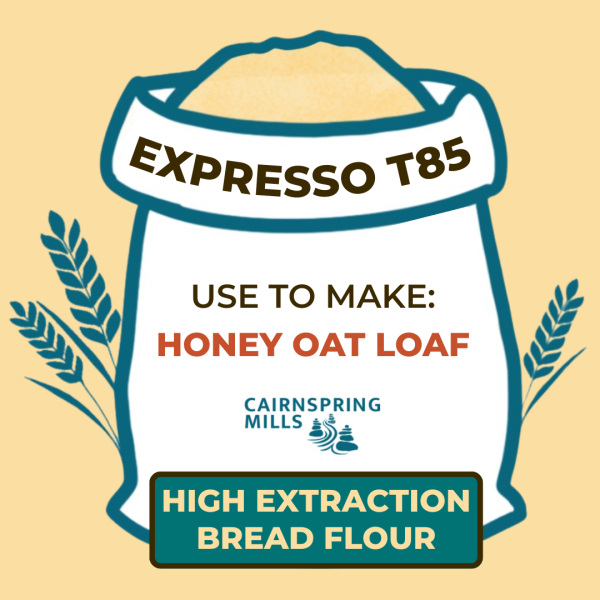 express t85.png