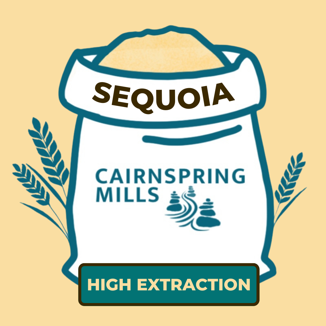 Sequoia.png