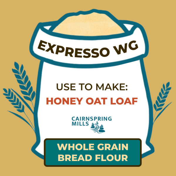 expresso wg.png